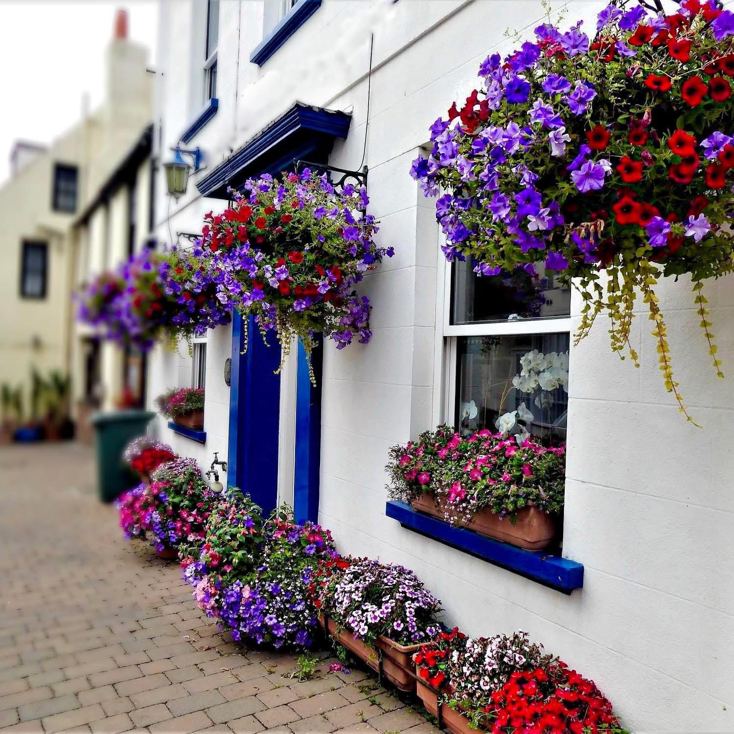 Bonjour Guest House Braye Exterior photo
